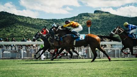 Saddle Up with Style: 5 Essential Tips for Beginner Riders
