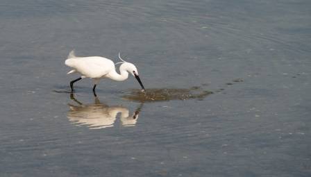 Top 11 National Park Destinations for Autumn Birding