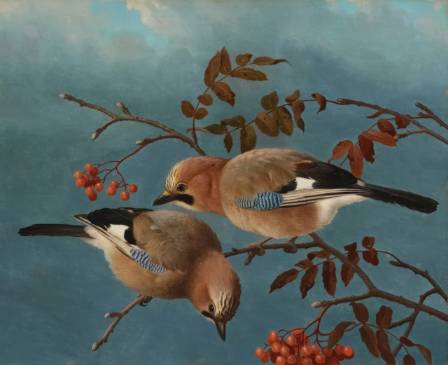 Famous Bird Paintings: Exploring 15+ Renowned Avian Artworks and Artists