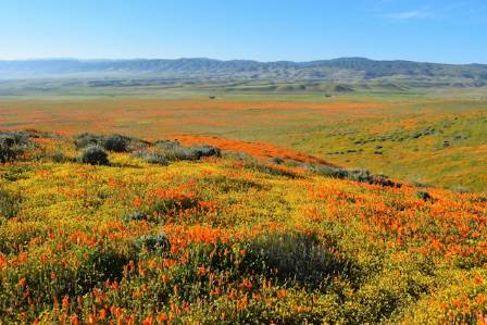 The World's 6 Most Breathtaking Natural Marvels