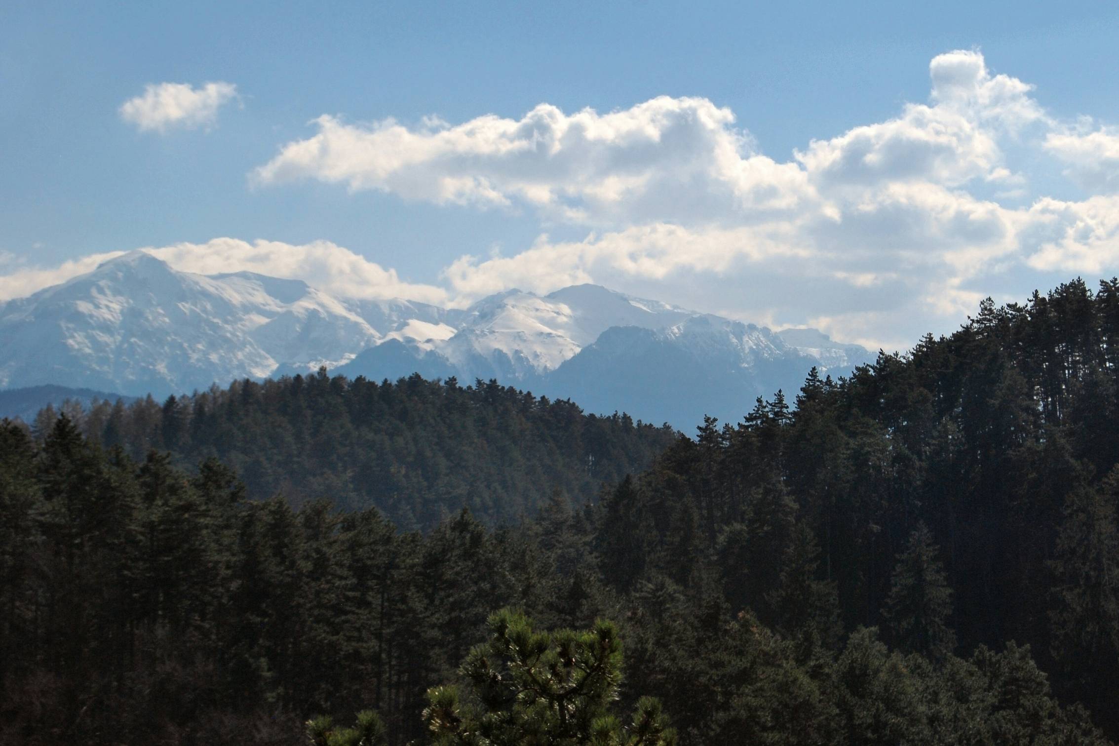 a view of a mountain range with trees in the foreground